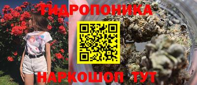ПСИЛОЦИБИНОВЫЕ ГРИБЫ Будённовск