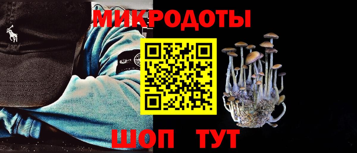 Семилуки  Псилоцибиновые грибы Psilocybine cubensis  Вход с VPN  Псилоцибиновые грибы ЛСД 